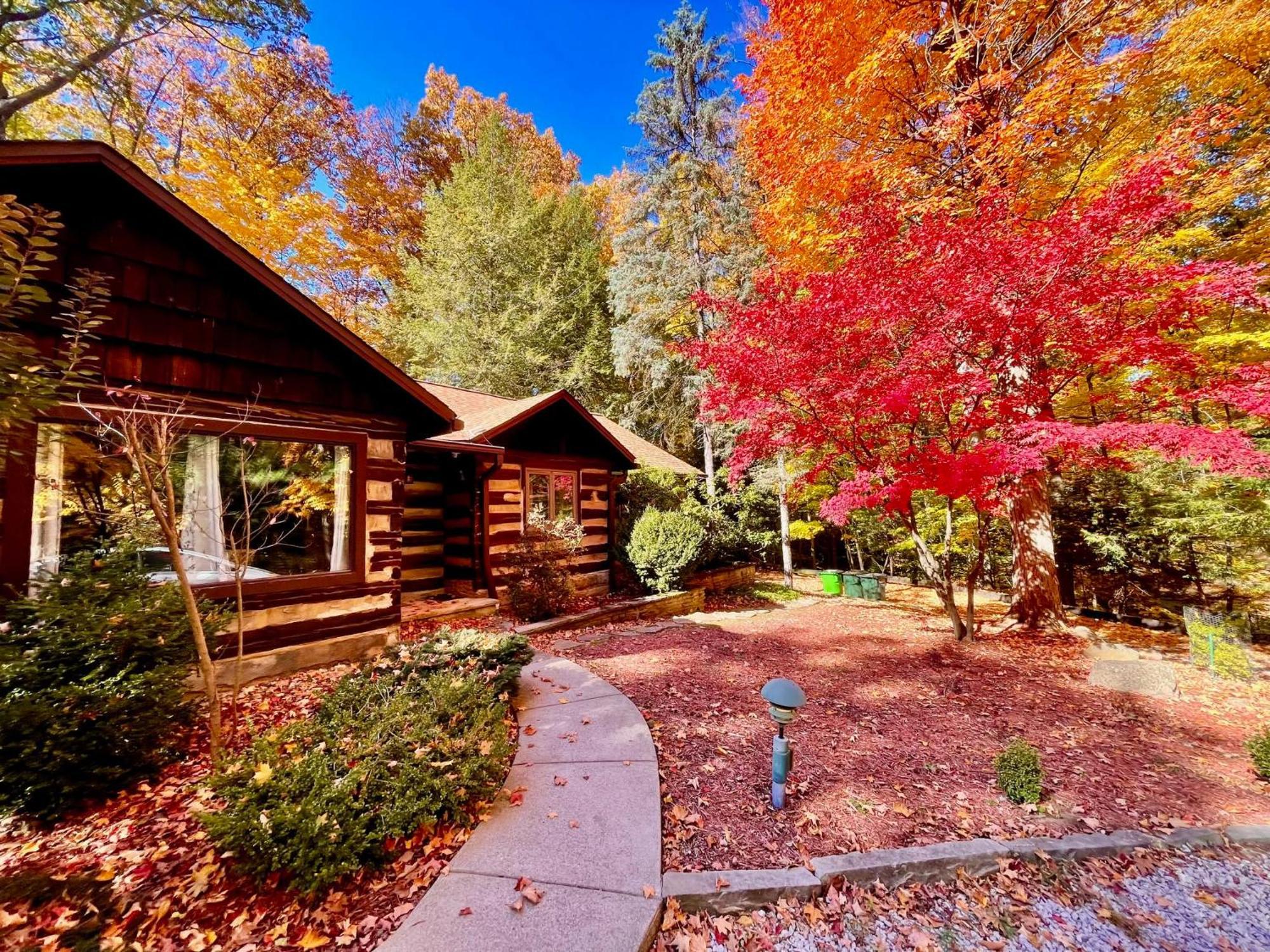 Log Cabin - Natures Oasis - Fire Pit & Gazebo Cleveland Kültér fotó